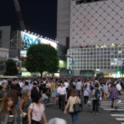 the crowd in Shibuya station